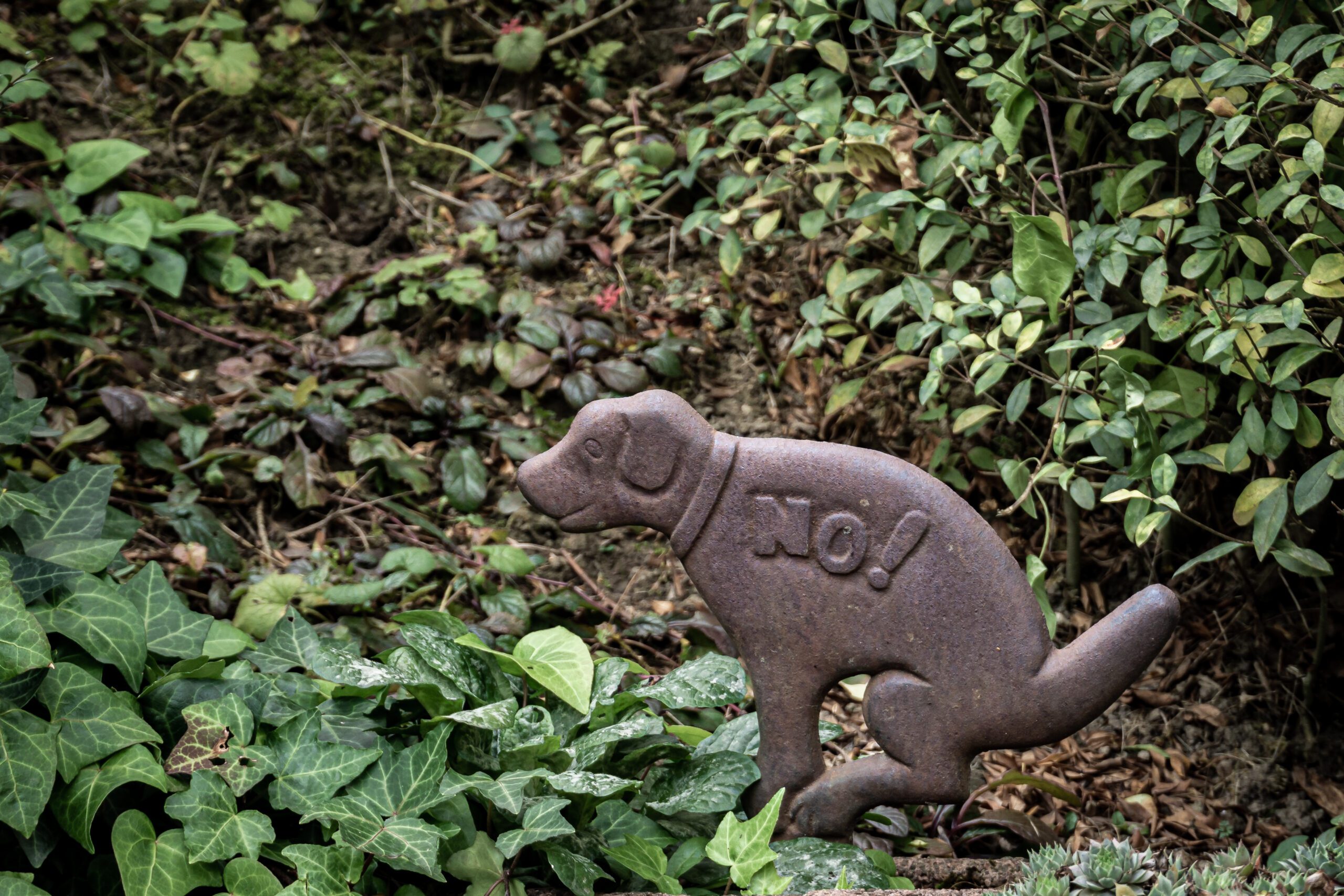 Pooping dog sign with an inscription ‘no!’ in a park