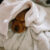 What Are Critical Winter Wellness Tips for Pets?