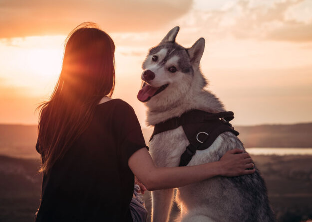 love-is-not-enough What Dogs Really Need: Why Love Alone Is Not Enough